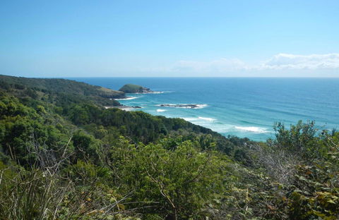 Jack Perkins Walking Track - Redcliffe Tourism 0
