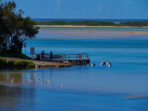 Kayaking Tuross Lake - Redcliffe Tourism 1