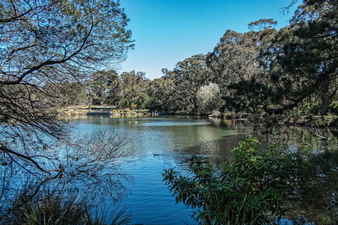 Lake Alexandra Reserve - Redcliffe Tourism 1