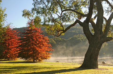 Lake Alexandra Reserve - Redcliffe Tourism 2