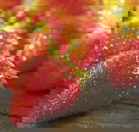 Lambs Valley - Redcliffe Tourism