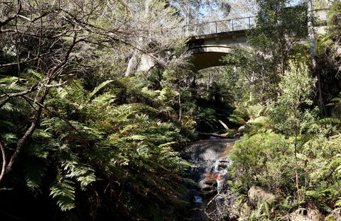 Leura Cascades - Redcliffe Tourism 2