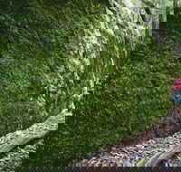 Morisset - Redcliffe Tourism