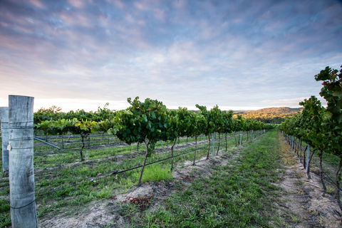Nature And Foodies Trail - Redcliffe Tourism 0