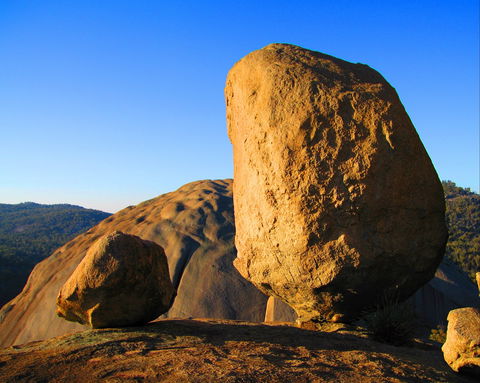Nature And Foodies Trail - Redcliffe Tourism 1