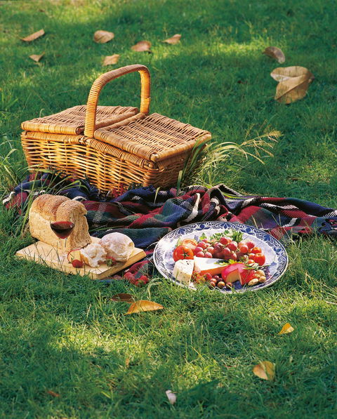 Nature And Foodies Trail - Redcliffe Tourism 2