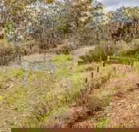 Old Mountain Road Walking Track - Redcliffe Tourism