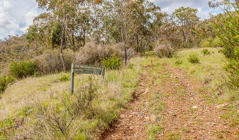 Old Mountain Road Walking Track - Redcliffe Tourism 0
