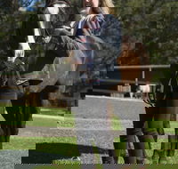 Otford Farm Horse Riding - Redcliffe Tourism
