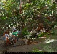 Palms picnic area - Redcliffe Tourism
