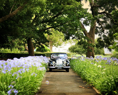 Queens Park, Toowoomba - Redcliffe Tourism 2