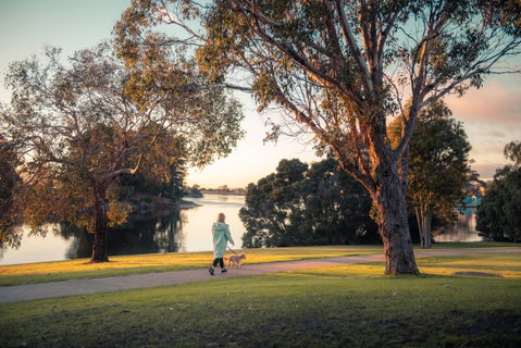 Richard Gutteridge Gardens - Redcliffe Tourism 0