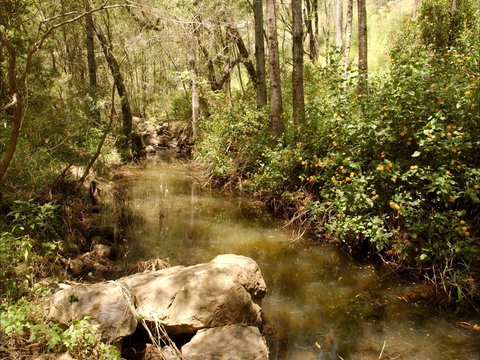 Sandy Creek Track - Redcliffe Tourism 0