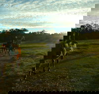 Scenic NSW Horse Riding Centre - Redcliffe Tourism