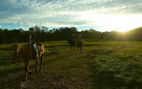 Scenic NSW Horse Riding Centre - Redcliffe Tourism 0