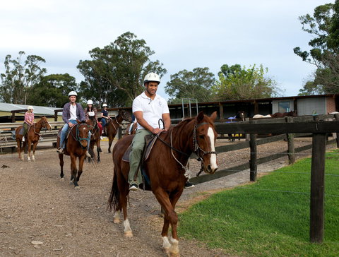 Scenic NSW Horse Riding Centre - Redcliffe Tourism 1