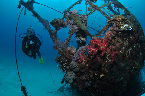 Severance Shipwreck Dive Site - Redcliffe Tourism 0