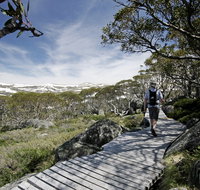 Snow Gums boardwalk - Redcliffe Tourism