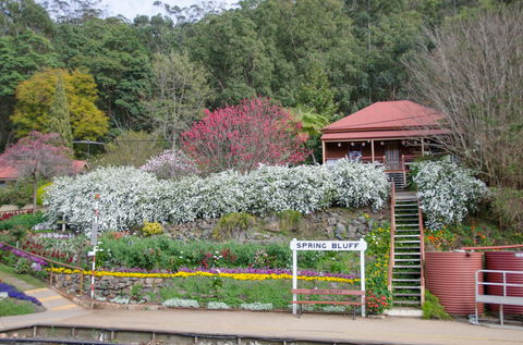 Spring Bluff Railway Station - Redcliffe Tourism 1