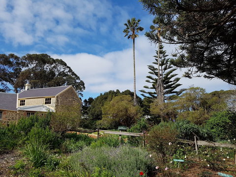 Strawberry Hill - Redcliffe Tourism 1