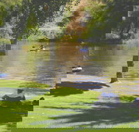 The Lions Junction Park - Tumut - Redcliffe Tourism