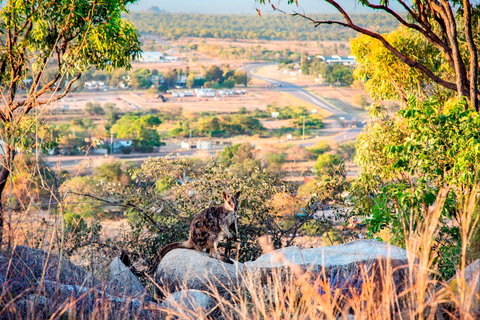 Towers Hill Lookout And Amphitheatre - Redcliffe Tourism 2