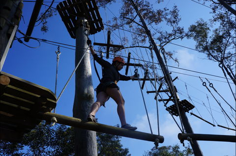 Trees Adventure Nowra Park - Redcliffe Tourism 0