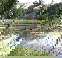 Tumut Wetlands - Redcliffe Tourism