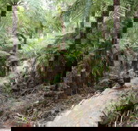 Upper Yarra Reservoir Park - Redcliffe Tourism