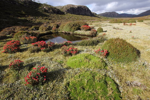 Walls Of Jerusalem National Park - Redcliffe Tourism 1