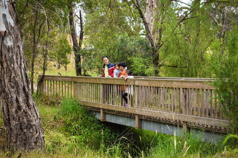 Westerfolds Park - Redcliffe Tourism 0