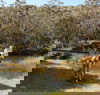 Wild Valley Art Park - Redcliffe Tourism