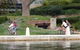Windan Bridge Loop, East Perth - thumb 0