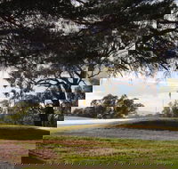 Yea Golf Club - Redcliffe Tourism