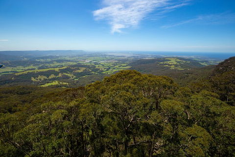 Illawarra Fly Treetop Adventures Treetop Walk Admission Ticket - Redcliffe Tourism 6