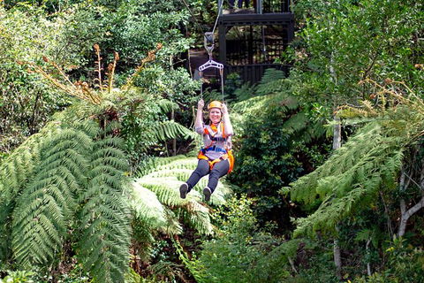 Illawarra Fly Treetop Adventures Treetop Walk Admission Ticket - Redcliffe Tourism 2