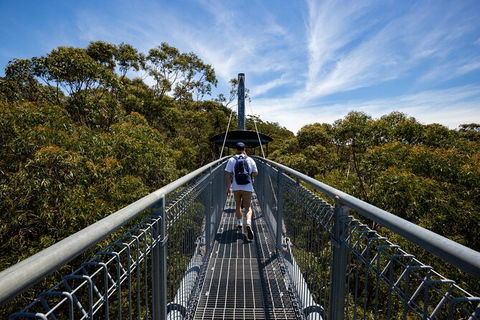 Illawarra Fly Treetop Adventures Treetop Walk Admission Ticket - Redcliffe Tourism 0
