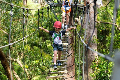 Illawarra Fly Treetop Adventures Treetop Walk Admission Ticket - Redcliffe Tourism 3