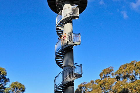 Illawarra Fly Treetop Adventures Treetop Walk Admission Ticket - Redcliffe Tourism 5