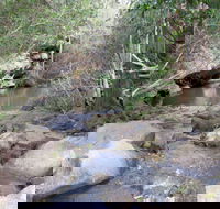 Bomaderry Creek Regional Park - Redcliffe Tourism