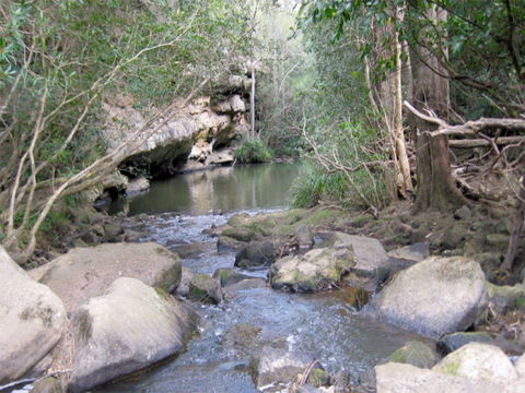 Bomaderry Creek Regional Park - Redcliffe Tourism 0