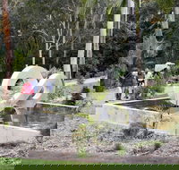 Maroochy Regional Bushland Botanic Garden - Redcliffe Tourism