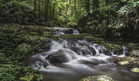 Protesters Falls Walking Track - Redcliffe Tourism 0