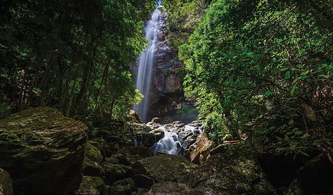Protesters Falls Walking Track - Redcliffe Tourism 1
