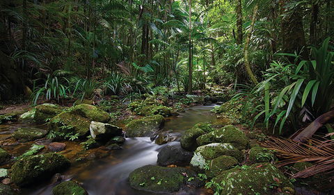 Protesters Falls Walking Track - Redcliffe Tourism 2