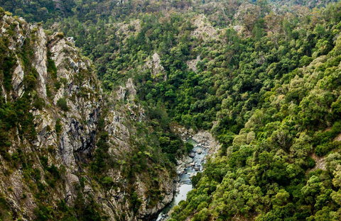 Tiara Walking Track - Redcliffe Tourism 0