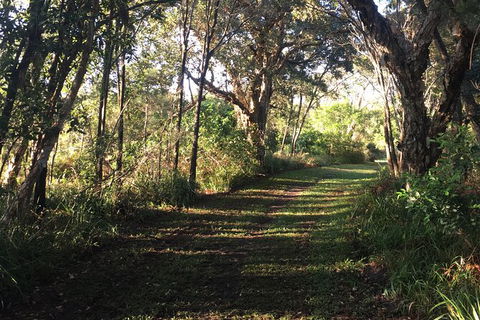 Coffs Harbour To Sawtell Bike Ride - Redcliffe Tourism 7