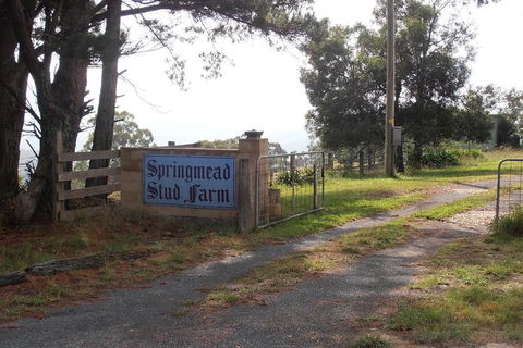 Interactive Farm Tours On A Beef, Lamb And Duck Farm - Redcliffe Tourism 0