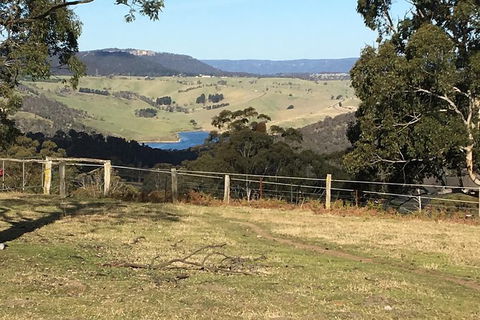 Interactive Farm Tours On A Beef, Lamb And Duck Farm - Redcliffe Tourism 5