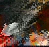 Sunset Eco Rainforest River Cruise - Redcliffe Tourism